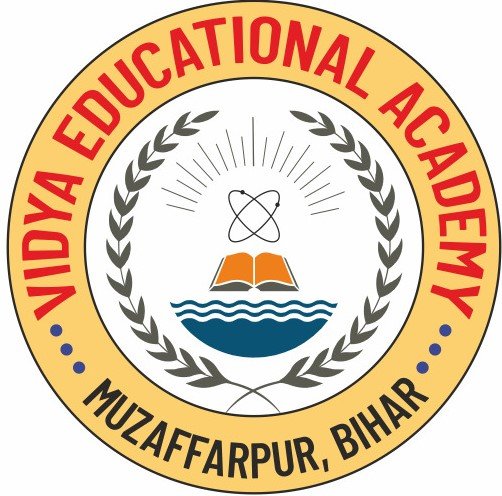 Vidya Education Logo